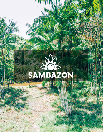 Sambazon - サンバゾン – Good Plants-グッドプランツ
