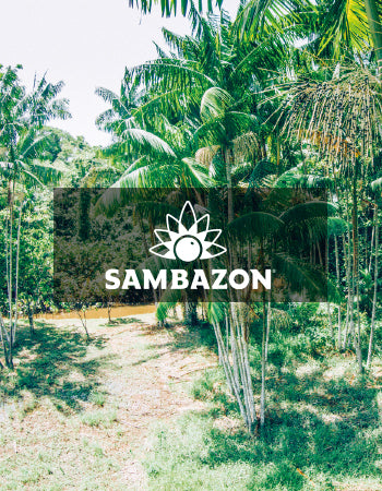 Sambazon - サンバゾン