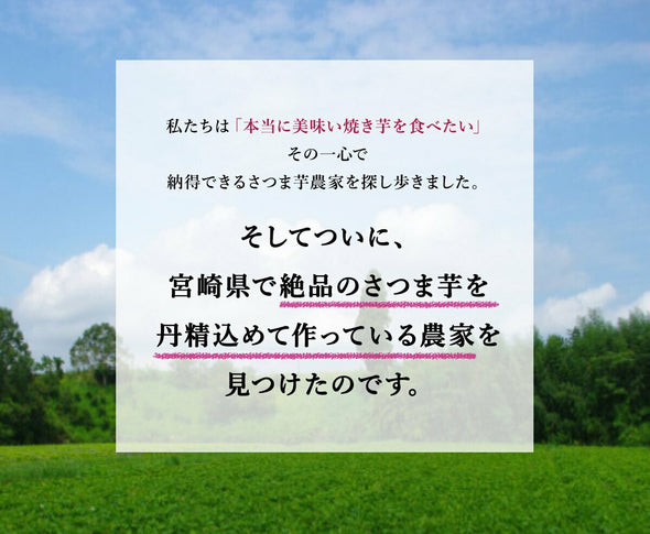 [芋王] プレミアム熟成”特選”焼き芋 冷凍 (糖度50度以上) さつまいも (500g )